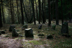 The first stone circle