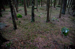 stone circle