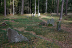 Two small damaged stone circles