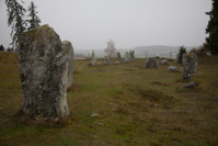 Åsa