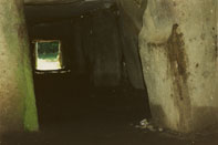 Dolmen de Mané Rutal