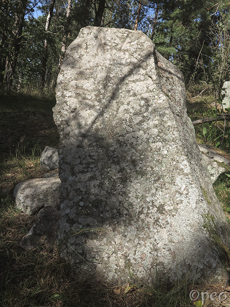 Sö 119