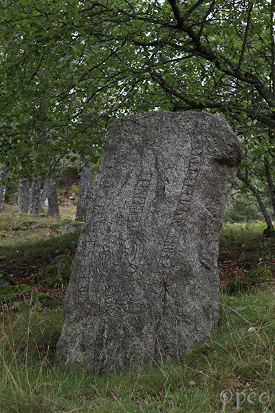 Sö 19