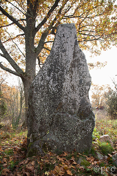 Sö 321