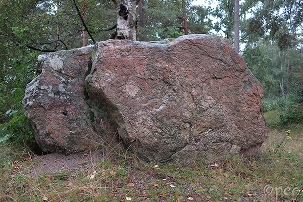 Sö 336