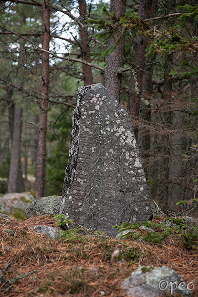 Sö 47