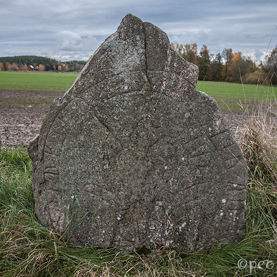 Sö 50