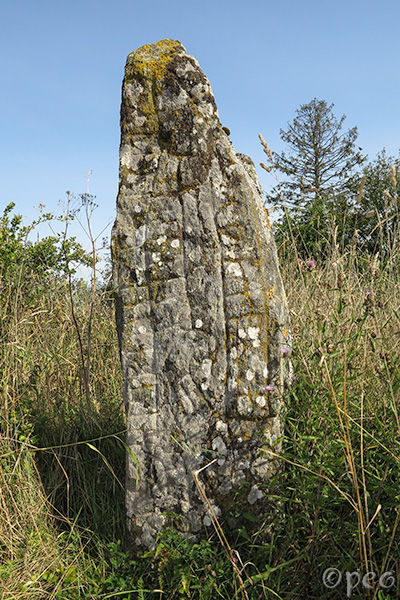 Sö 93