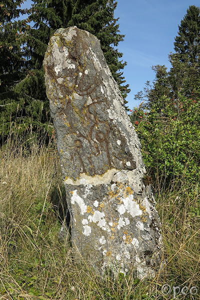 Sö 95