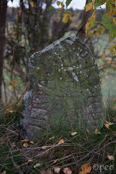 Sö Fv1954;20 