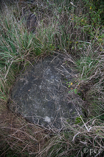 Sö Fv1984;253