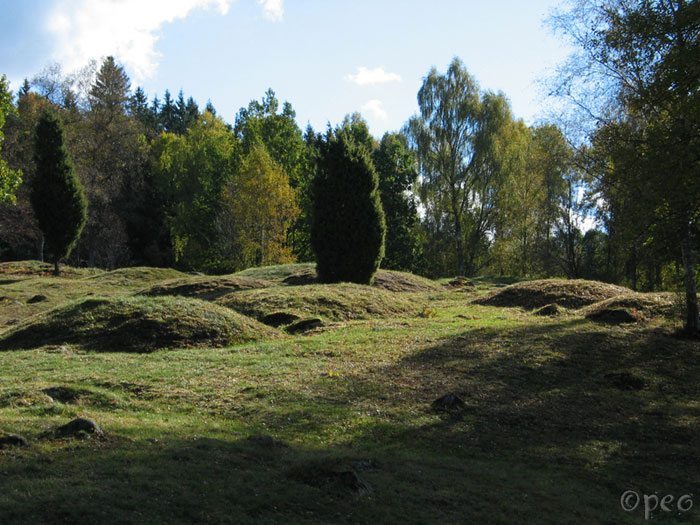 Replösa grave field