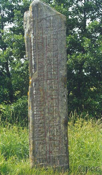 Vg 113