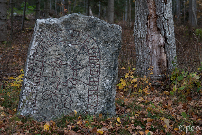 Sö 163