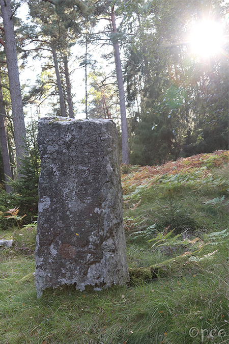 Sö 170